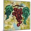 Fashion Fruit III-Nicholas Biscardi-Mounted Art Print