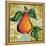 Fashion Fruit V-Nicholas Biscardi-Framed Stretched Canvas