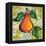 Fashion Fruit V-Nicholas Biscardi-Framed Stretched Canvas