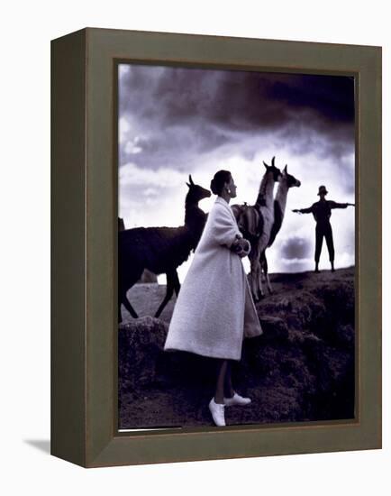 Fashion Model with Llamas, 1952-Science Source-Framed Premier Image Canvas