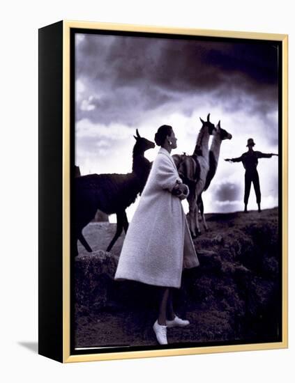 Fashion Model with Llamas, 1952-Science Source-Framed Premier Image Canvas