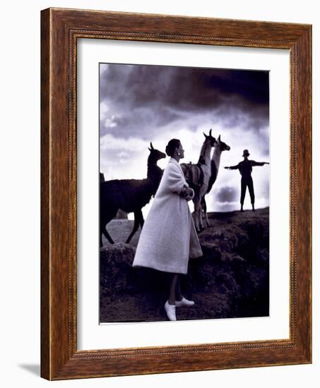 Fashion Model with Llamas, 1952-Science Source-Framed Giclee Print