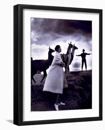 Fashion Model with Llamas, 1952-Science Source-Framed Giclee Print