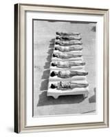 Fashion Models Wearing Swimsuits at a Florida Pool-Lisa Larsen-Framed Photographic Print