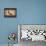 Fashion Shoe I-Sophie Devereux-Framed Stretched Canvas displayed on a wall