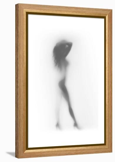 Fashion-Shadow-Framed Stretched Canvas