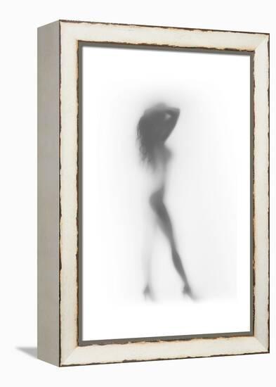 Fashion-Shadow-Framed Stretched Canvas