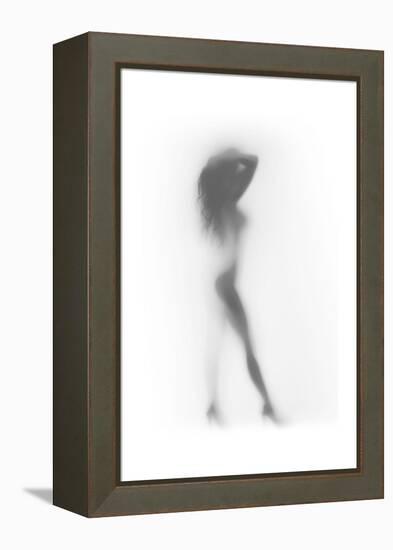 Fashion-Shadow-Framed Stretched Canvas