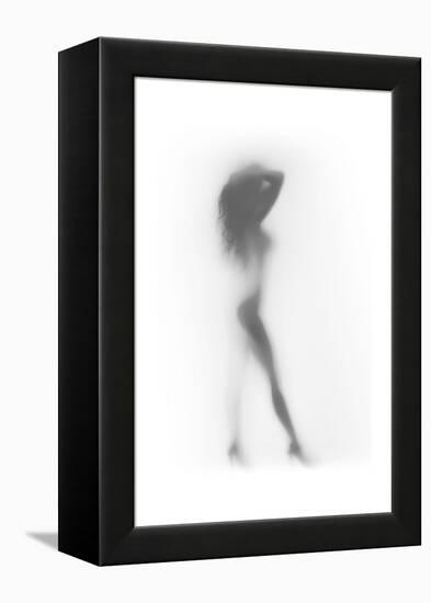 Fashion-Shadow-Framed Stretched Canvas