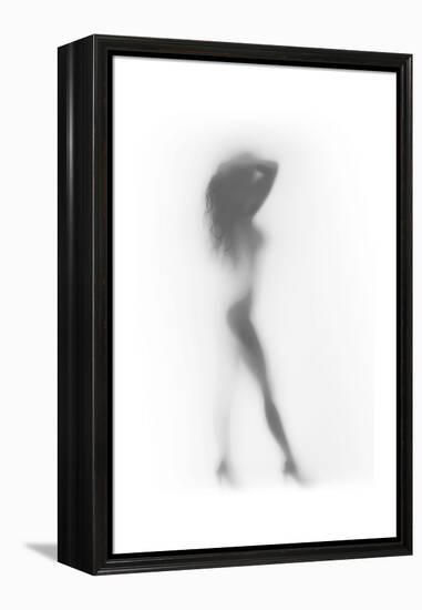 Fashion-Shadow-Framed Stretched Canvas