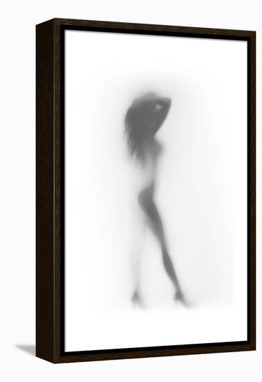 Fashion-Shadow-Framed Stretched Canvas