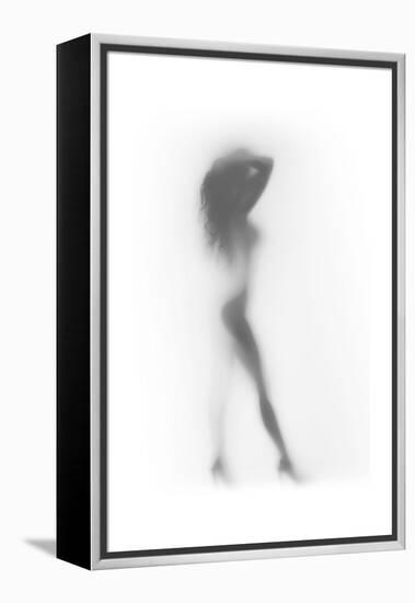 Fashion-Shadow-Framed Stretched Canvas