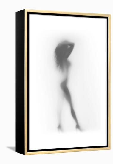Fashion-Shadow-Framed Stretched Canvas
