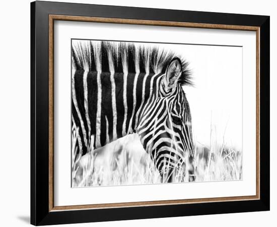 Fashionable black and white-Silvia Dinca-Framed Photographic Print