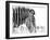 Fashionable black and white-Silvia Dinca-Framed Photographic Print