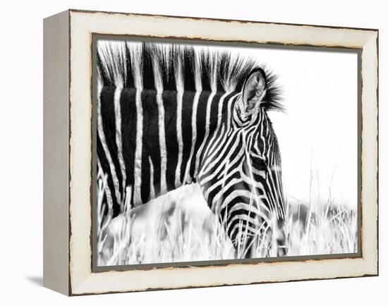 Fashionable black and white-Silvia Dinca-Framed Premier Image Canvas