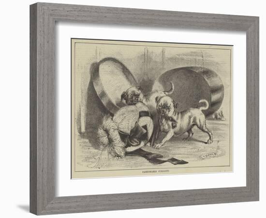 Fashionable Curiosity-null-Framed Giclee Print