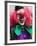 Fasnacht Carnival, Fasnacht Costume, Basel, Switzerland-Walter Bibikow-Framed Photographic Print