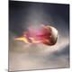 Premium Photographic Print