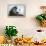 Fast Food-Andre Villeneuve-Framed Premier Image Canvas displayed on a wall