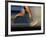 Fast Moving Feet and Legs-null-Framed Photographic Print