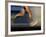 Fast Moving Feet and Legs-null-Framed Photographic Print