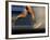 Fast Moving Feet and Legs-null-Framed Photographic Print