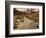 Fast Moving Stream, Near Ladybower Reservoir, Peak District Nat'l Park, Derbyshire, England-Ian Egner-Framed Photographic Print