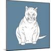 Fat Cat-Anna Nyberg-Mounted Giclee Print
