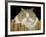 Fat Cat-J Hovenstine Studios-Framed Giclee Print
