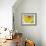 Fat Cell, TEM-Steve Gschmeissner-Framed Photographic Print displayed on a wall