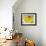 Fat Cell, TEM-Steve Gschmeissner-Framed Photographic Print displayed on a wall