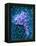 Fat Cells, SEM-Science Photo Library-Framed Premier Image Canvas