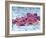 Fat Cells, SEM-Science Photo Library-Framed Photographic Print