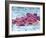 Fat Cells, SEM-Science Photo Library-Framed Photographic Print