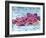 Fat Cells, SEM-Science Photo Library-Framed Photographic Print