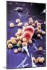 Fat Cells, SEM-Science Photo Library-Mounted Photographic Print