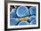 Fat Cells, SEM-Science Photo Library-Framed Photographic Print