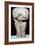 Fat lady statuette, (3500-2300 BC) Artist: Unknown-Unknown-Framed Giclee Print