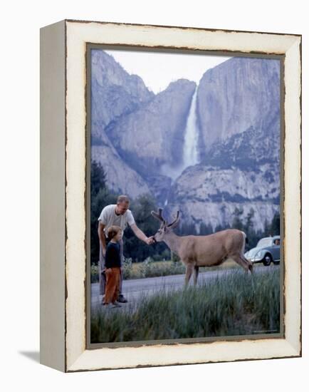 Father and Son Feeding a Wild Deer in Yosemite National Park with Yosemite Falls in the Background-Ralph Crane-Framed Premier Image Canvas