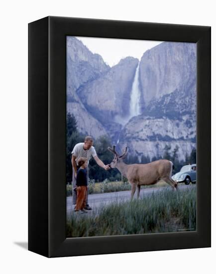 Father and Son Feeding a Wild Deer in Yosemite National Park with Yosemite Falls in the Background-Ralph Crane-Framed Premier Image Canvas