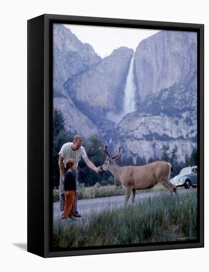 Father and Son Feeding a Wild Deer in Yosemite National Park with Yosemite Falls in the Background-Ralph Crane-Framed Premier Image Canvas