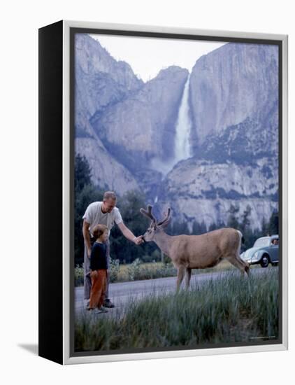 Father and Son Feeding a Wild Deer in Yosemite National Park with Yosemite Falls in the Background-Ralph Crane-Framed Premier Image Canvas