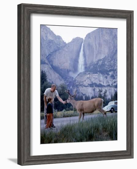 Father and Son Feeding a Wild Deer in Yosemite National Park with Yosemite Falls in the Background-Ralph Crane-Framed Photographic Print