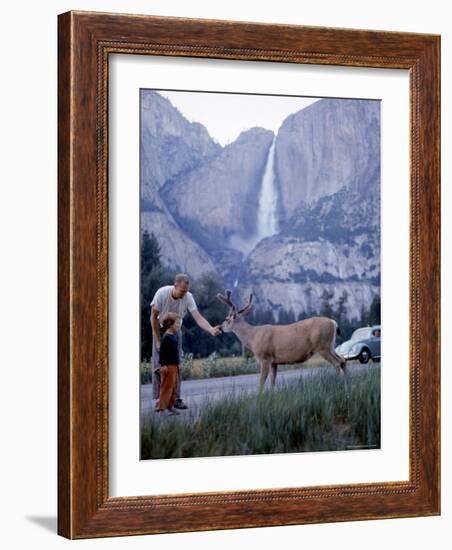 Father and Son Feeding a Wild Deer in Yosemite National Park with Yosemite Falls in the Background-Ralph Crane-Framed Photographic Print