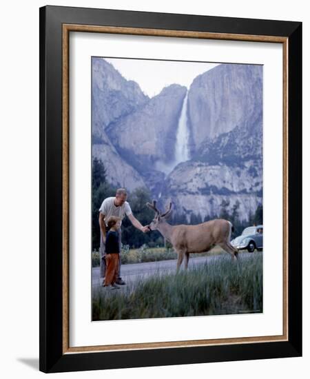 Father and Son Feeding a Wild Deer in Yosemite National Park with Yosemite Falls in the Background-Ralph Crane-Framed Photographic Print