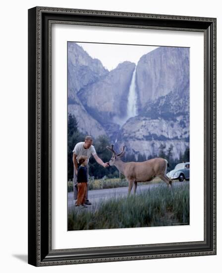 Father and Son Feeding a Wild Deer in Yosemite National Park with Yosemite Falls in the Background-Ralph Crane-Framed Photographic Print