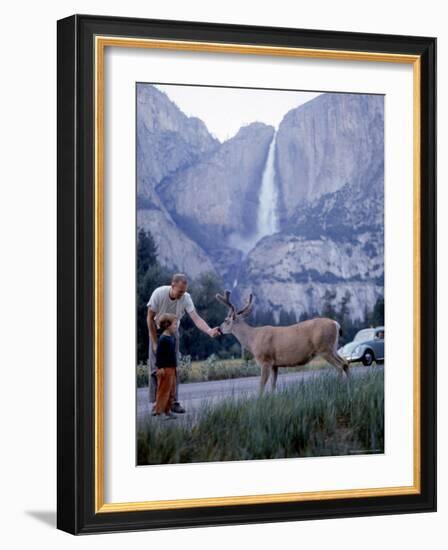 Father and Son Feeding a Wild Deer in Yosemite National Park with Yosemite Falls in the Background-Ralph Crane-Framed Photographic Print