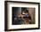 Father and Son Reading at Home-William P. Gottlieb-Framed Photographic Print