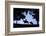 Father and Son Riding Horses-William P. Gottlieb-Framed Photographic Print